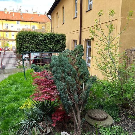 Apartament E-Space Rzeszow Dış mekan fotoğraf